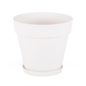 import placeholder for 38635